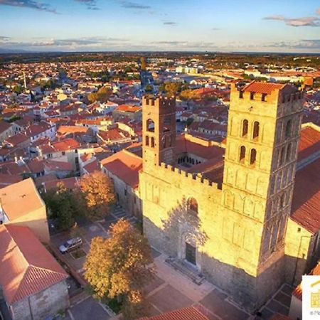 Maison Au Pied De La Cathedrale Elne Εξωτερικό φωτογραφία