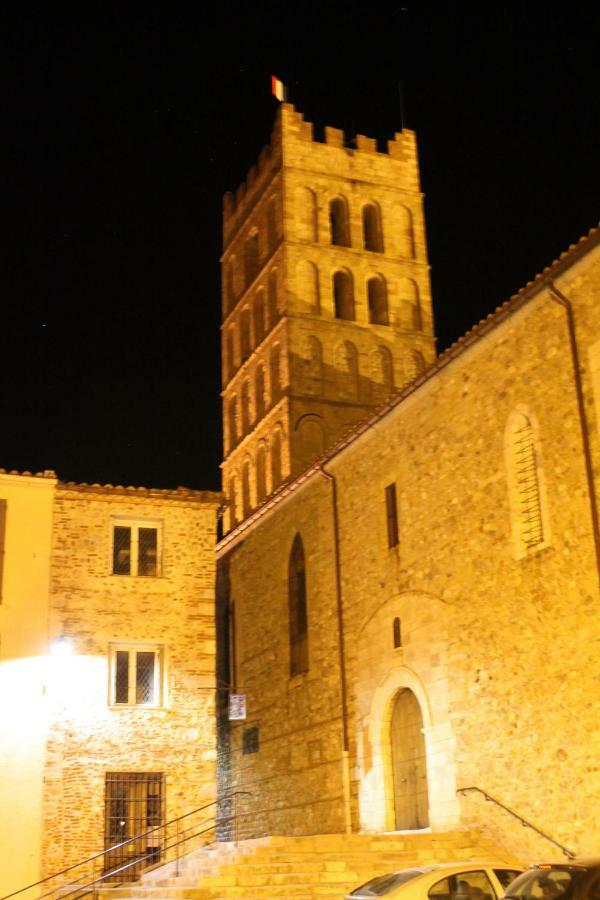 Maison Au Pied De La Cathedrale Elne Εξωτερικό φωτογραφία