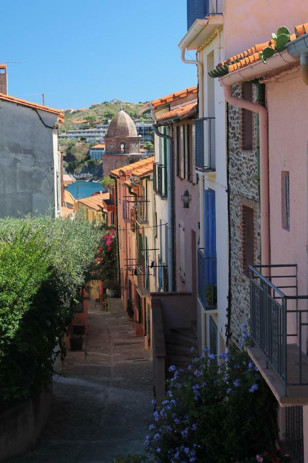 Maison Au Pied De La Cathedrale Elne Εξωτερικό φωτογραφία